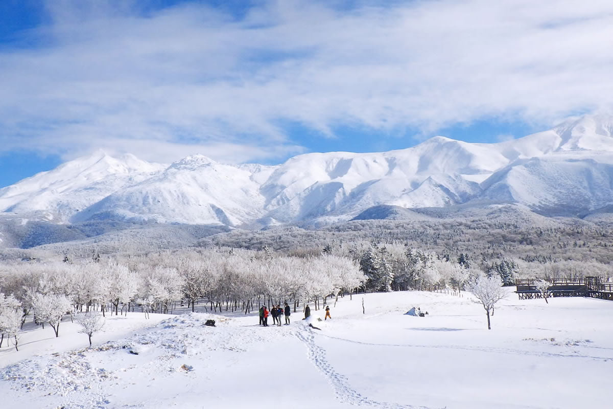 知床|知床五湖雪鞋健行+溫泉飯店一泊方案(2026/02/05 限定)