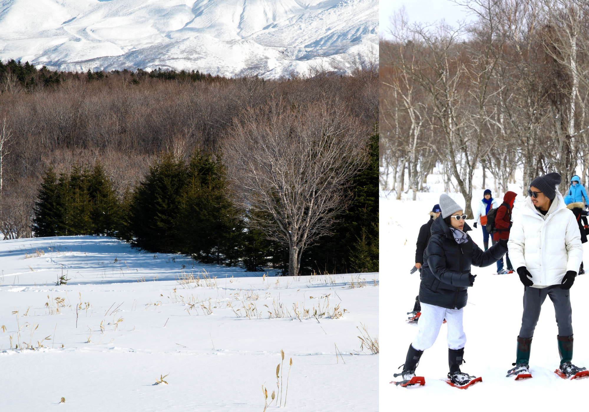 【限定1團】北海道道東冬季奇幻之旅 | 絕美雪景與米其林盛宴 | 5天4夜夢幻體驗