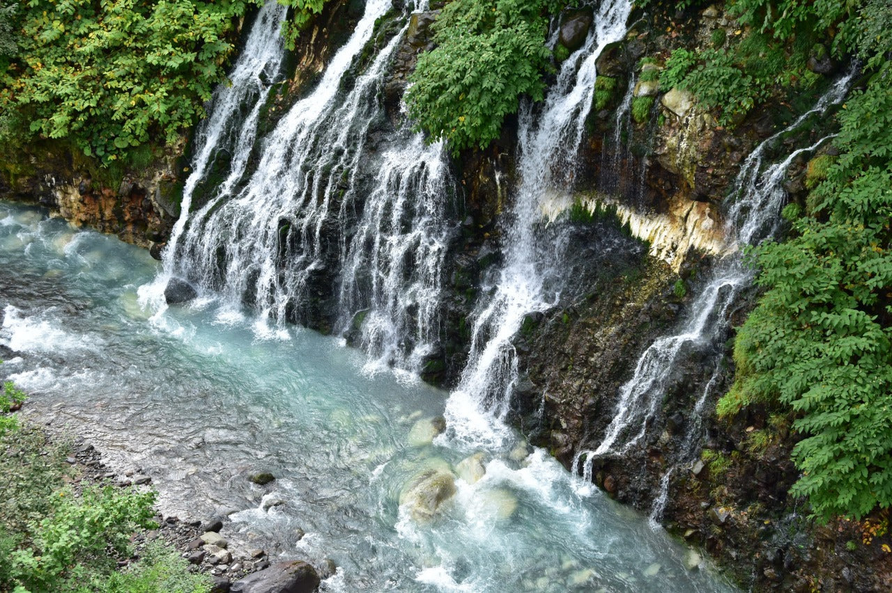 旭川市區出發｜一日包車觀光