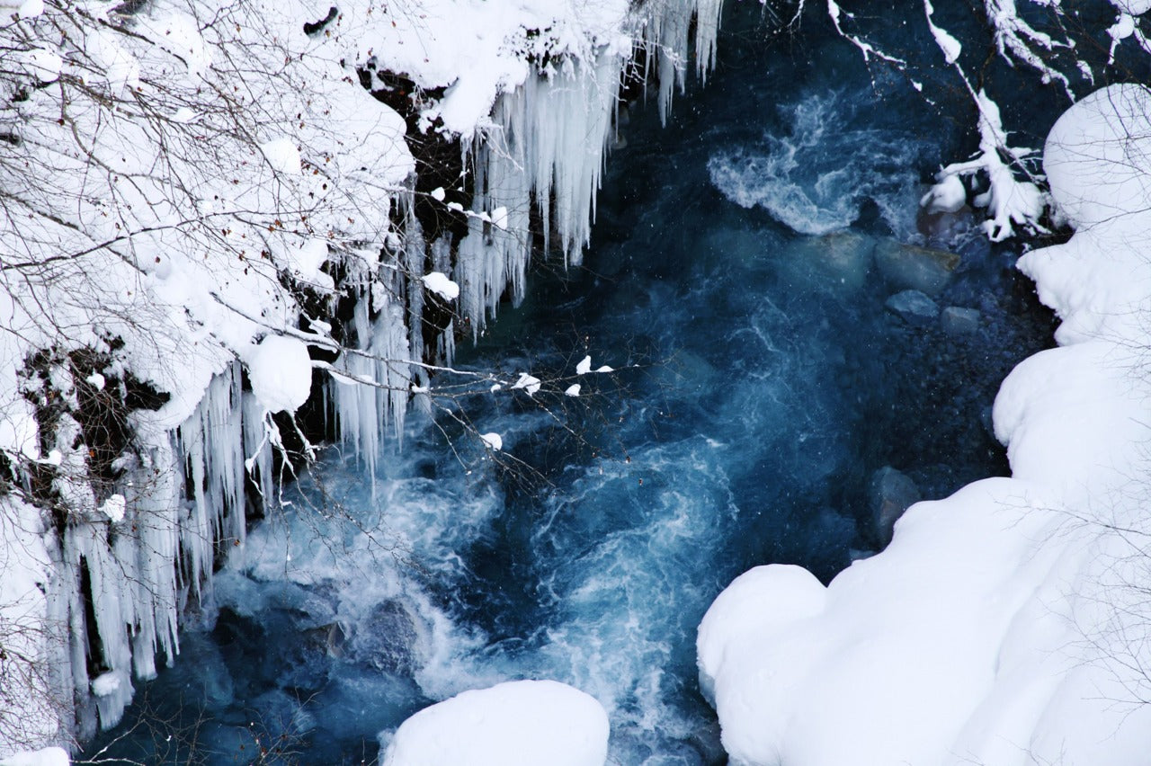 旭川市區出發｜一日包車觀光