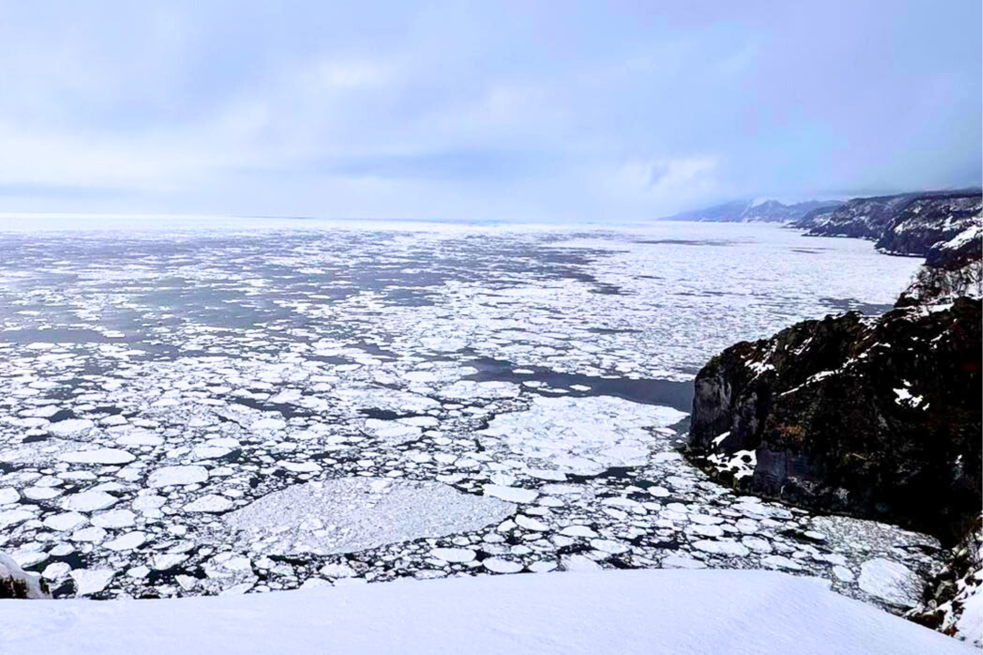 2026 北海道道東冬季奇幻之旅 | 絕美雪景與美食盛宴 | 5天4夜