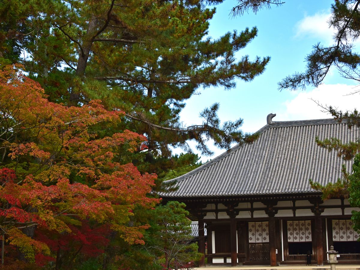 奈良車站出發・世界遺產巴士一日遊｜法隆寺・中宮寺・慈光院・藥師寺・唐招提寺