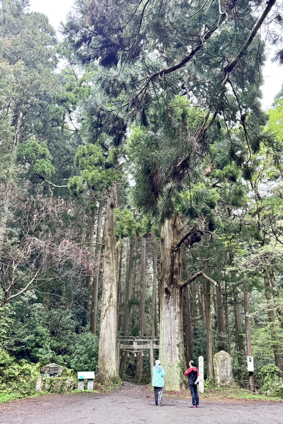 隠岐諸島3天2夜｜世界級離島祕境之旅
