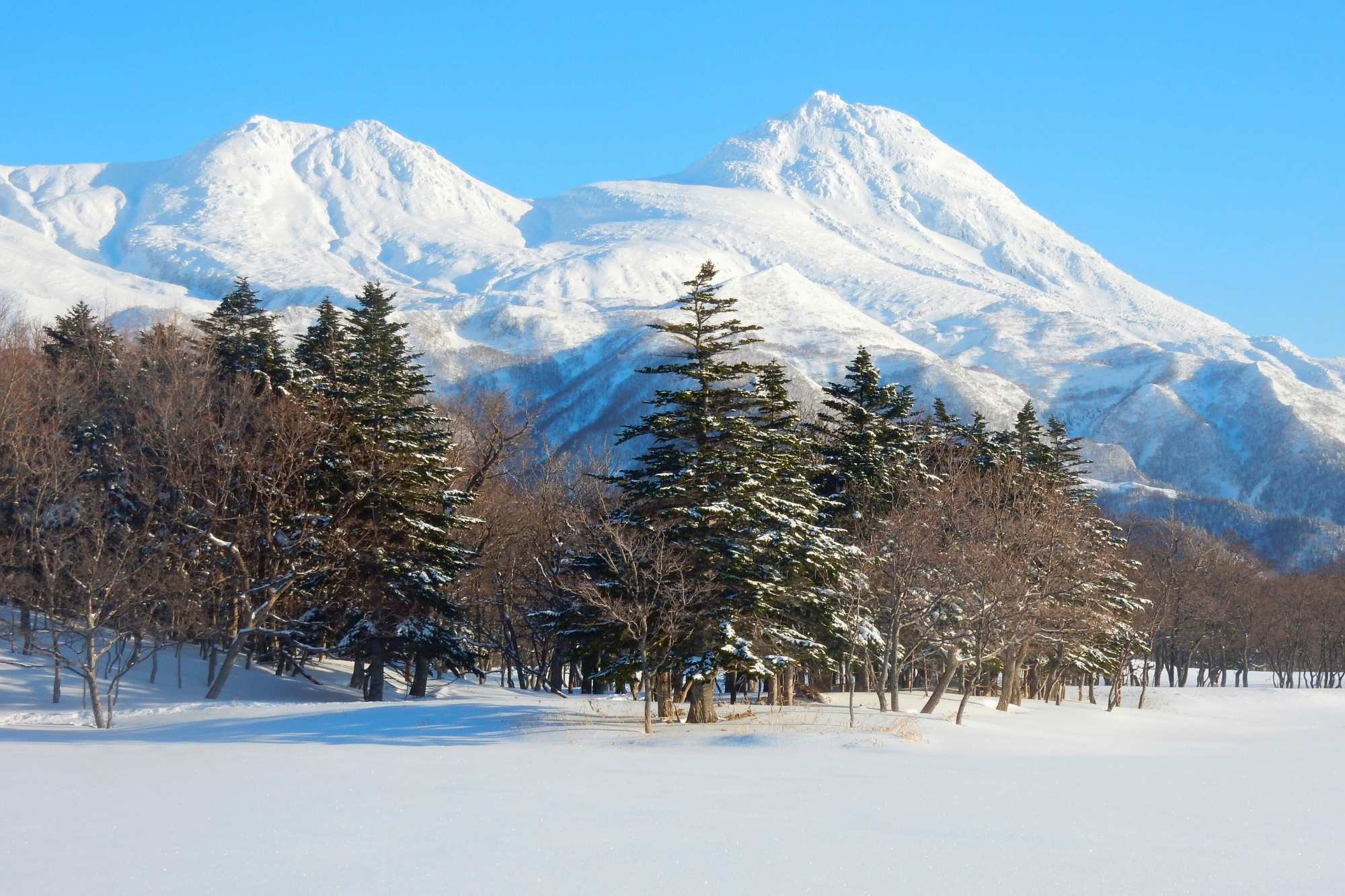2026 北海道道東5日｜雪上冰釣・破冰船・流冰漫步・獨木舟・丹頂鶴