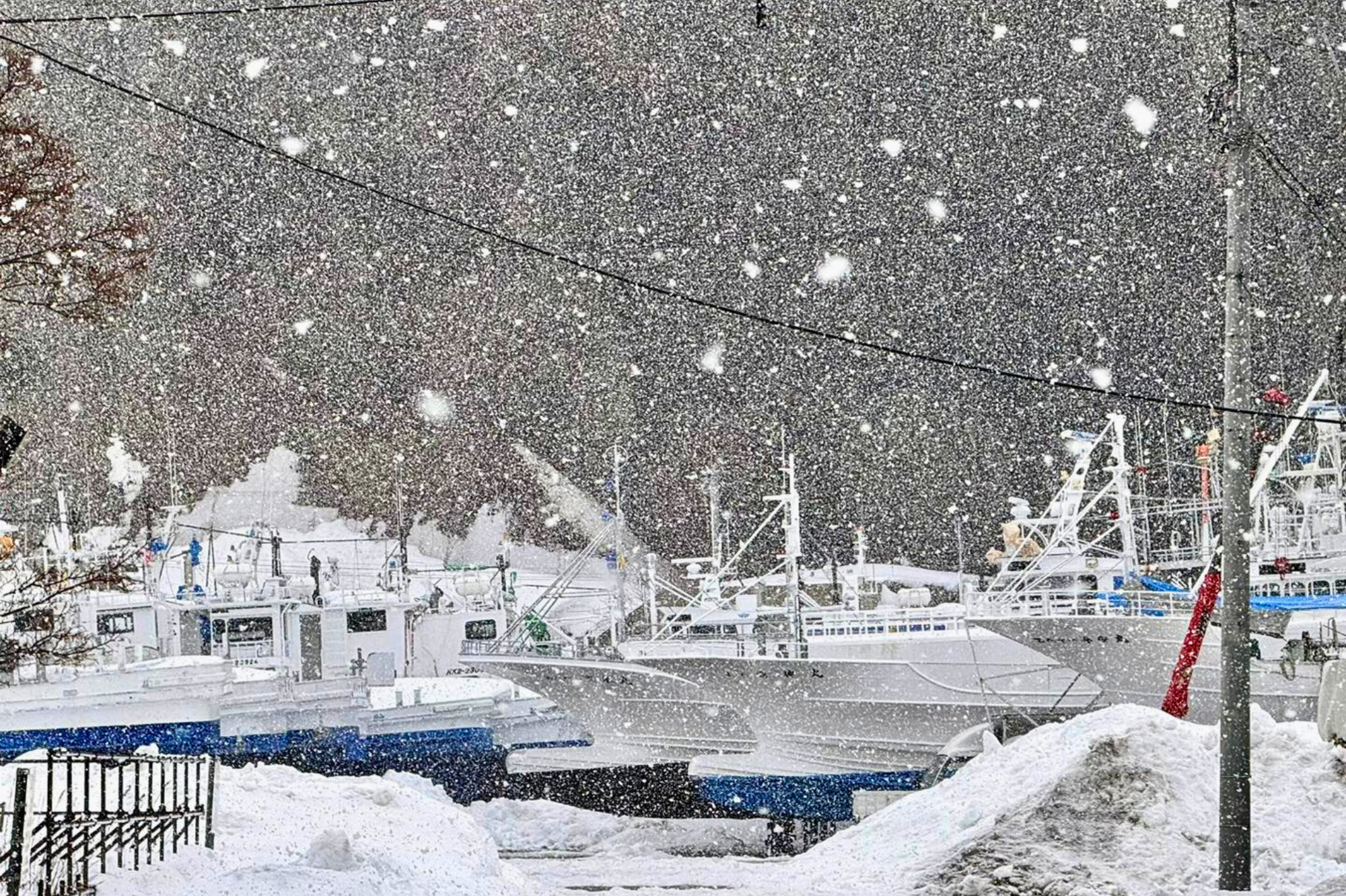 2026 北海道道東冬季奇幻之旅 | 絕美雪景與美食盛宴 | 5天4夜