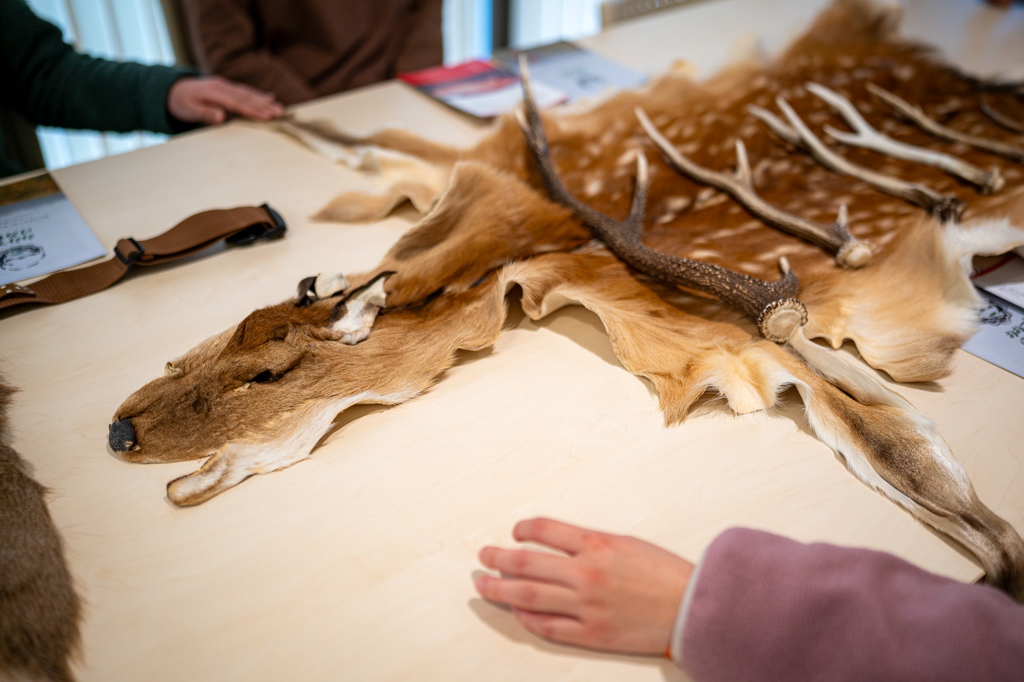 岩手｜入門級小型狩獵體驗課