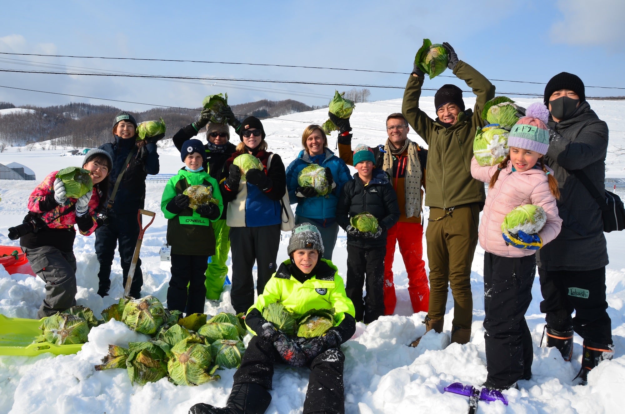 北海道｜富良野冬季限定雪下越冬高麗菜收穫體驗