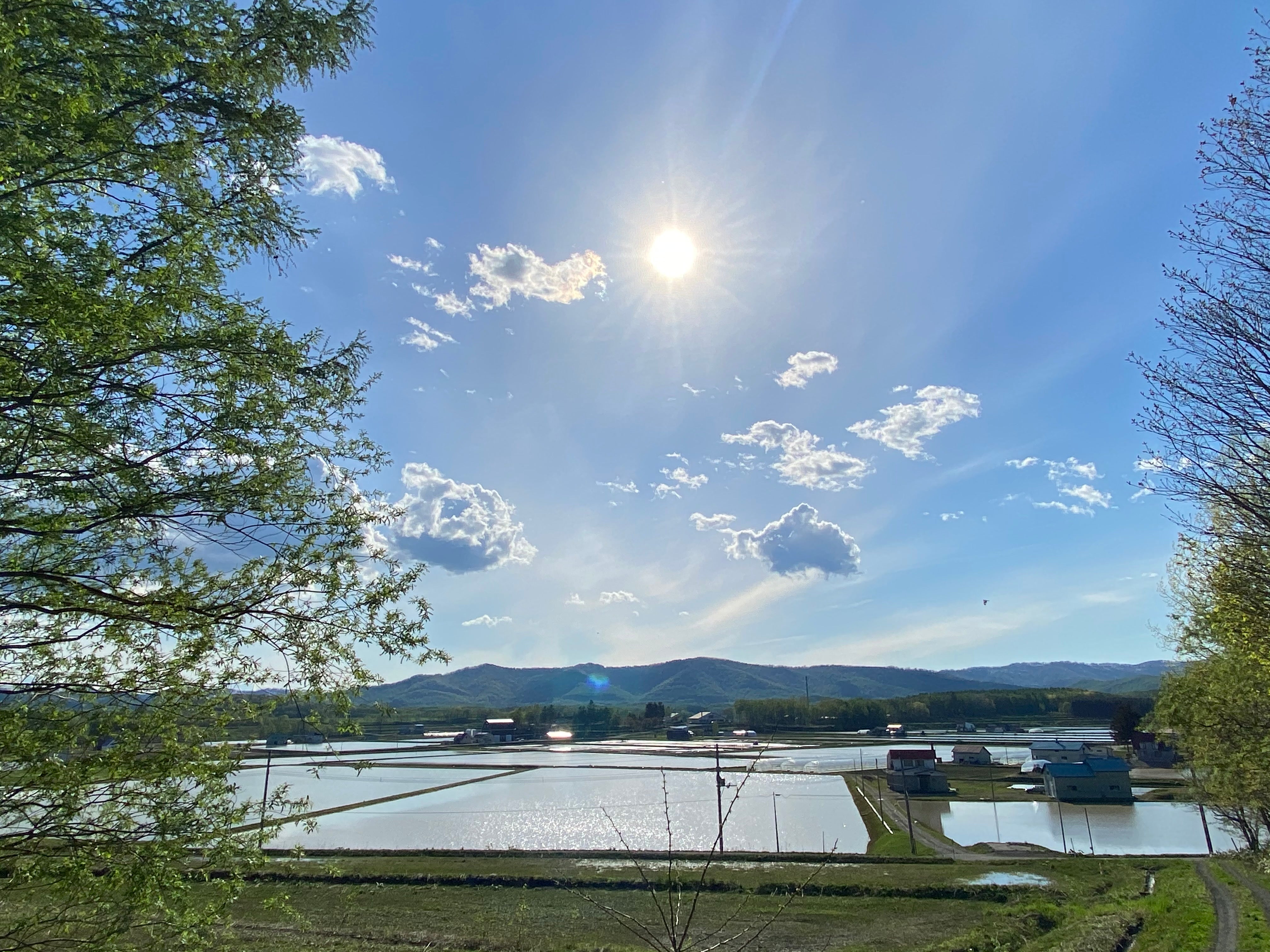 【北海道望野】不變的土地：農業歷史變革的田園漫遊 單堂文化體驗｜鷹栖町｜在地農家生活導覽｜