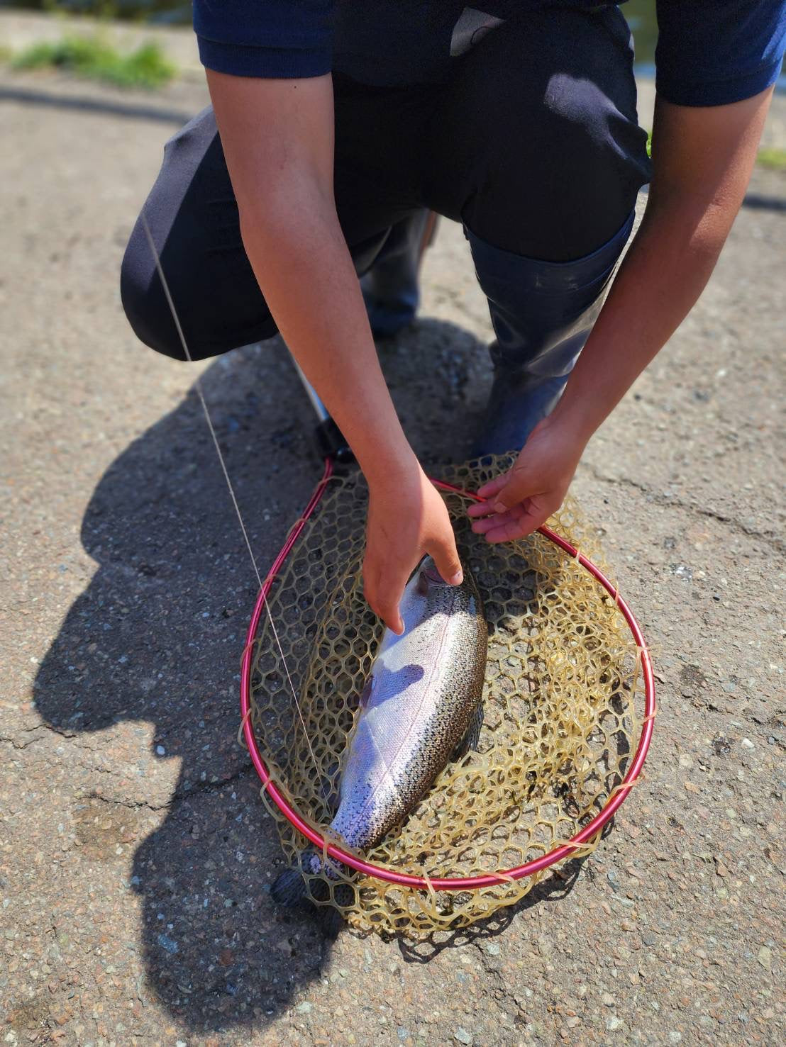 鮭魚養魚場｜釣鮭魚/處理鮭魚/現場品嘗小教室