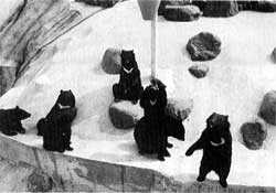 樹冰、又鬼獵人、生剝鬼祭典：秋田冬季傳說 3D2N (2027卡位團)