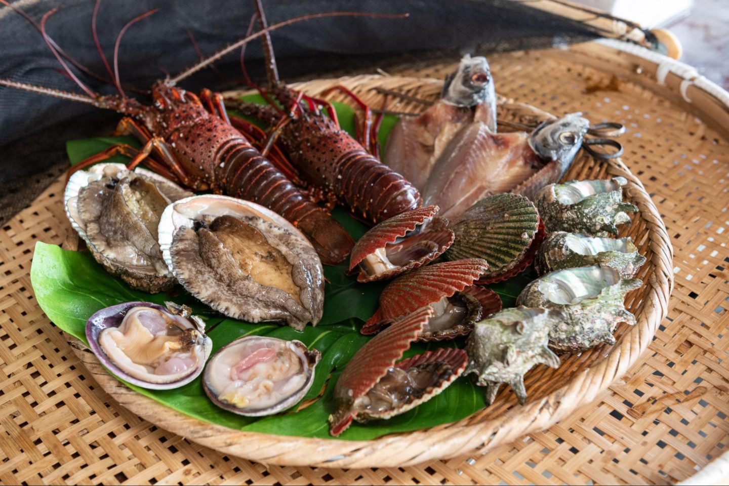 伊勢志摩海女體驗3天2夜｜名古屋出發・挖珍珠・志摩灣巡航之旅 【含交通】