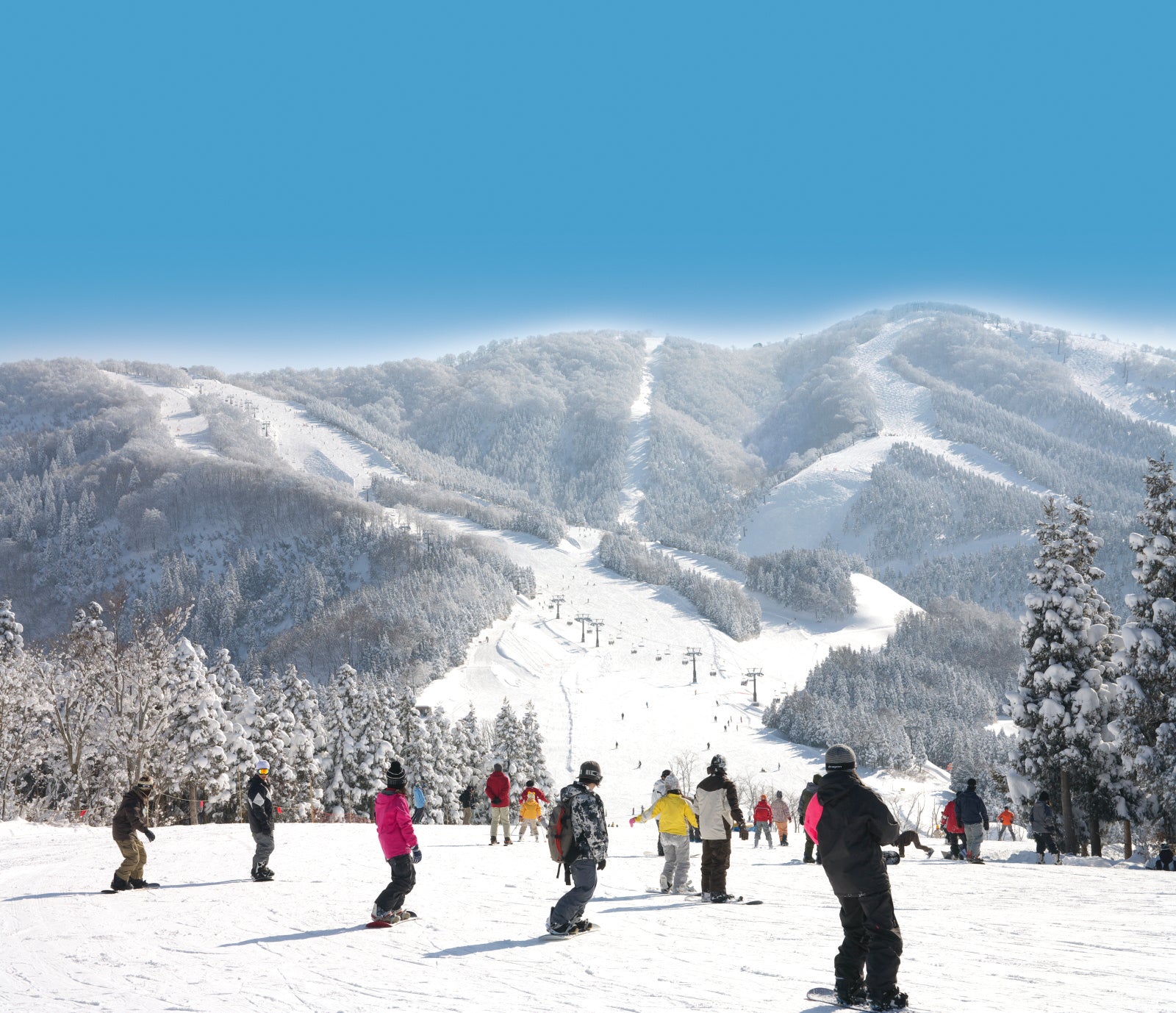 雪地狂歡：勝山滑雪一日遊 金澤出發｜專車接送｜SKI JAM｜滑雪體驗