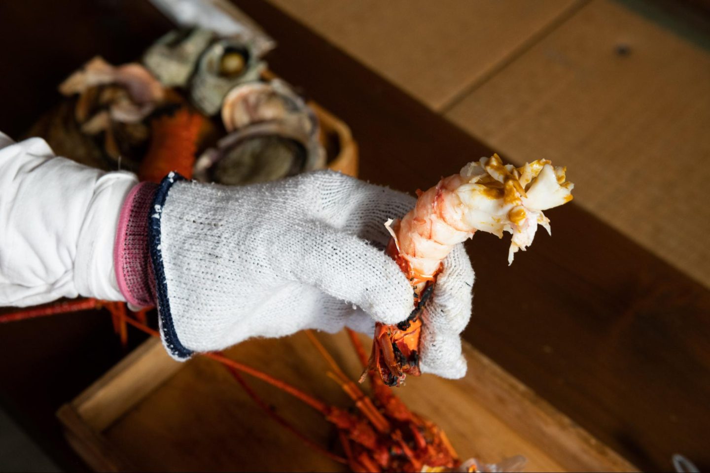 伊勢志摩海女體驗3天2夜｜名古屋出發・挖珍珠・志摩灣巡航之旅 【含交通】