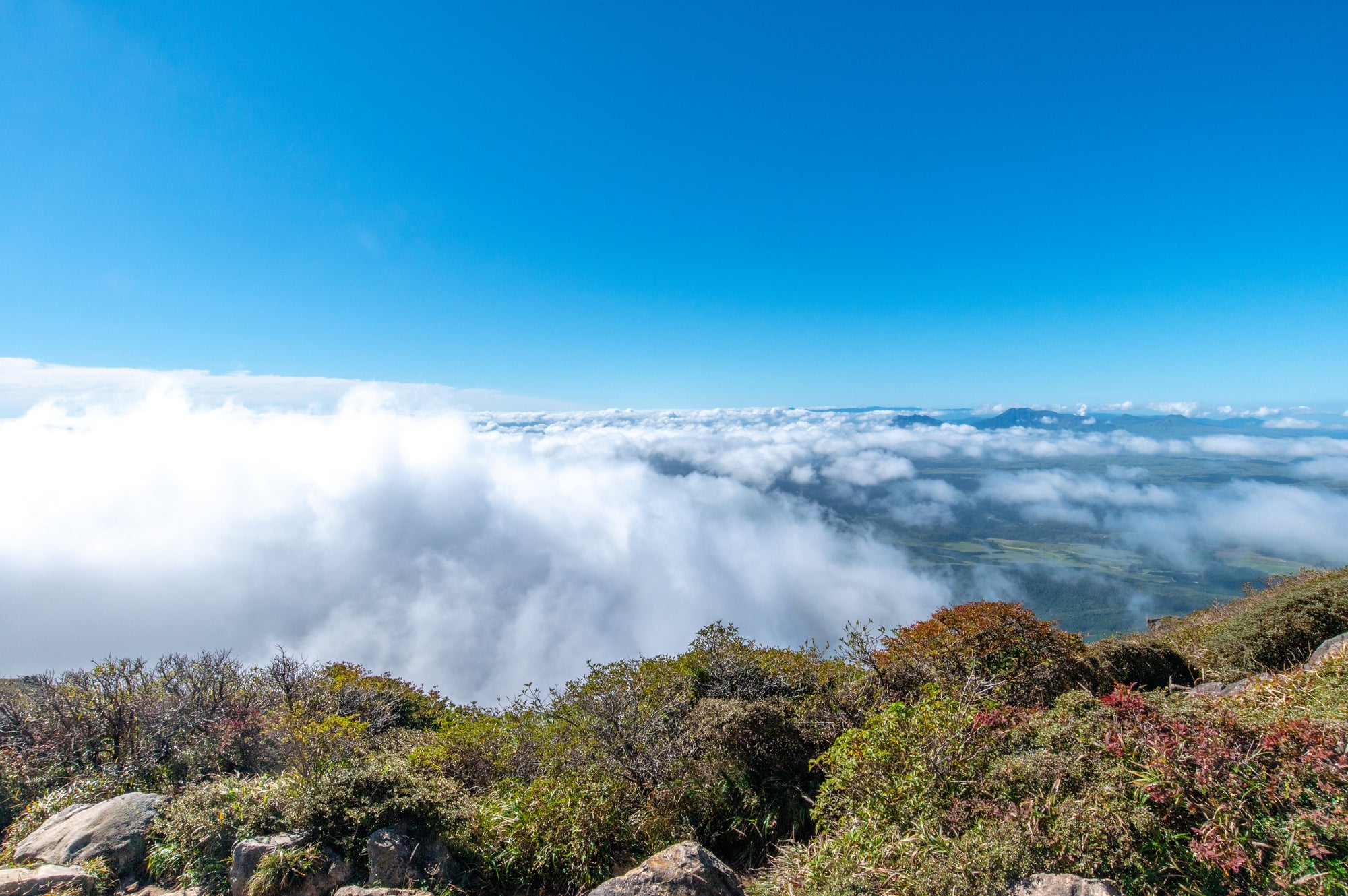 九重山登山之旅｜2天1夜｜健行體驗四季美麗的「九州屋脊」！ 觀賞雲海的好機會！ ？ 入住九重高原酒店，享用美味的當地美食